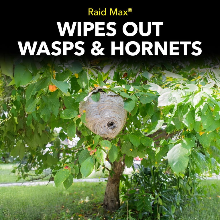Raid MAX Foaming Wasp and Hornet Killer, 16.5 oz photo 7
