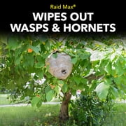 Raid MAX Foaming Wasp and Hornet Killer, Fast Coverage Outdoor Foaming Spray, 16.5 oz