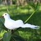 thumbnail image 4 of Muñeca 2 uds., modelo de pájaros de jardín, accesorios para fotos, palomas de la paz artificiales, decoración de mesa para el hogar Wdftyju  Libre de BPA, 4 of 8