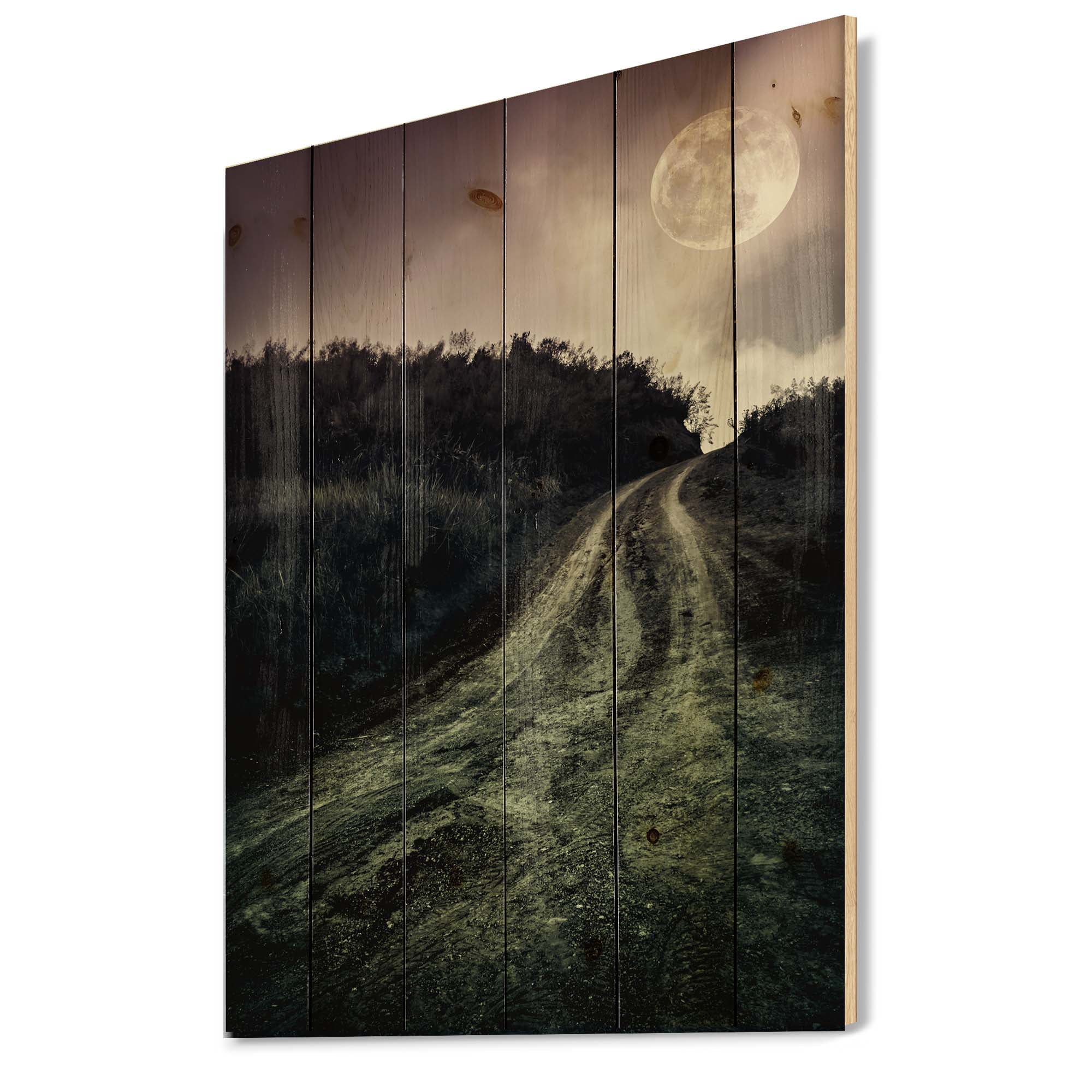 Designart 'Countryside Muddy Road Under Full Moon' Modern Print on Natural Pine Wood