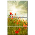 thumbnail image 2 of Design Art - Fleurs de Pavot Rouges dans un Champ Vert, 2 of 3