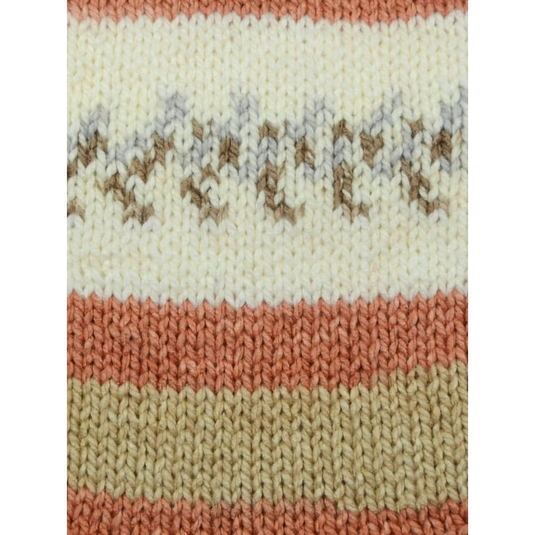  Premier Yarns Bloom Chunky Yarn, Self-Patterning Yarn for  Crocheting and Knitting, Snapdragon, 3.5 oz, 109 Yards