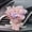 Color G, variant on Car Flower Bouquet Vent Clips, Mini Dried Flower Bouquet for Car and Home Decor