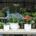 thumbnail image 3 of 2 macetas redondas de plástico con riego automático, color blanco, maceta con reserva de agua con sistema de riego para plantar plantas de flores fácilmente, decoración para el jardín del hogar, 3 of 5