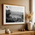 thumbnail image 5 of Hanalei, Kaua'i - Hanalei Hawaii Photography Black and White Landscape Nature Mountain Rural Scenic Farm Oak Framed Wall Art Print 5 x 7 inches, 5 of 8