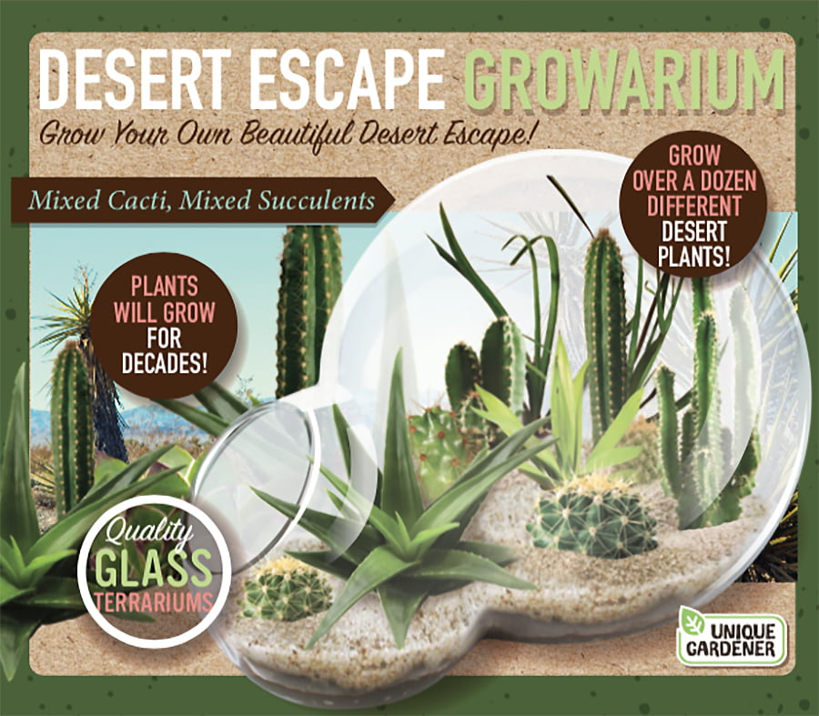 cactus trails desert escape kit