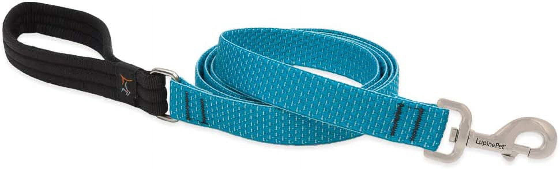 1in Tropical Sea 6ft Dog Leash