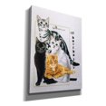 thumbnail image 2 of Epic Graffiti 'American Shorthair' by Barbara Keith, Canvas Wall Art, 12"x16", 2 of 8