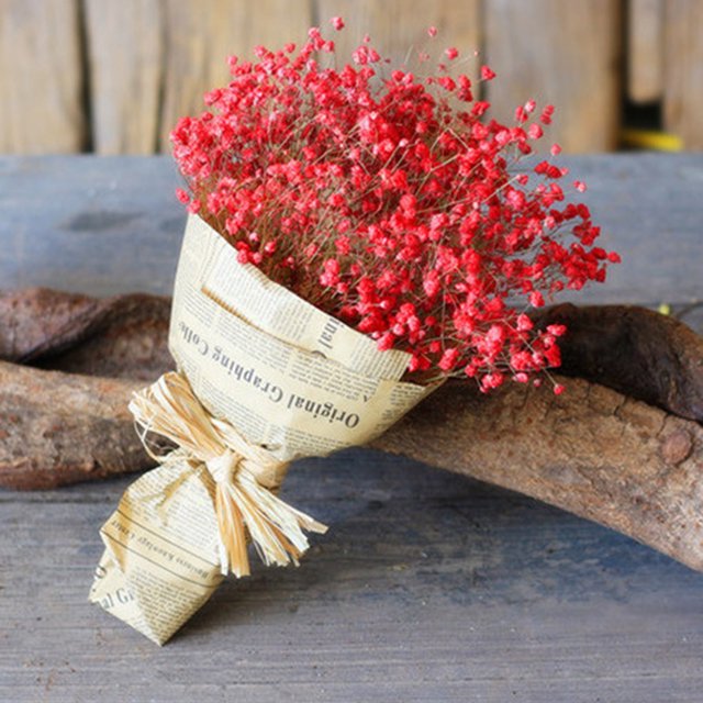 asddcavvf Fleur Séchée Naturelle Maison Fleur Séchée Naturelle Gypsophile Complète Roses Corail Fleurs