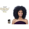 thumbnail image 3 of FreeTress Equal Synthetic Hair Wig Willow (TD30), 3 of 3