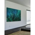 thumbnail image 6 of Marmont Hill "Magical Night" Painting Print on Wrapped Canvas, 6 of 7