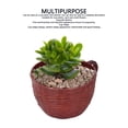 thumbnail image 3 of Maceta Suculenta, 3 of 7