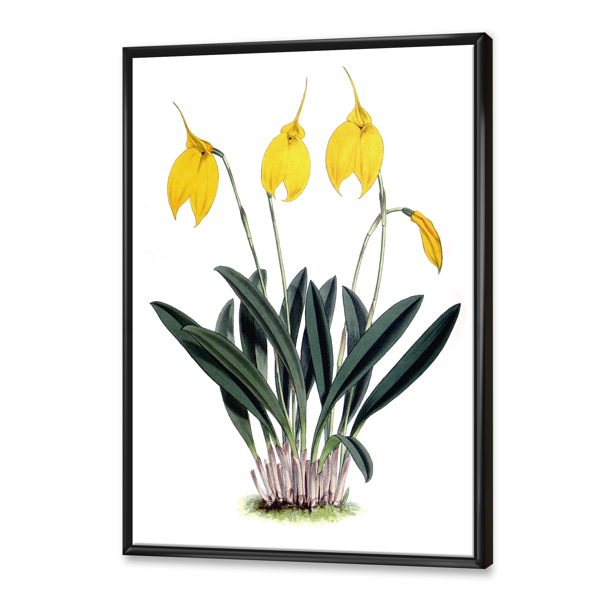 Designart 'Orchid Retro Flowers' Farmhouse Framed Canvas Wall Art Print