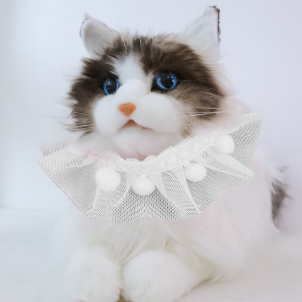 Lace cat shop collar