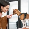 thumbnail image 2 of Labymos Gilet Sans Traction avec Poignée Fiable Doux Rembourré Respirant Mesh Réglable Réfléchissant Animal de Compagnie, 2 of 8