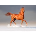 thumbnail image 2 of Arabian Horse Winter Wall Decal by Wallmonkeys Peel and Stick Graphic (18 in W x 12 in H) WM294571, 2 of 4