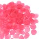thumbnail image 3 of Houderco 200Ud Glow in The Dark Para Decorar Acuarios Y Exteriores, 3 of 8