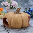 thumbnail image 2 of Creative Hide Nest Creative Rest Cave Adorable House Pumpkin Cave for Reptile Hamster Lizard Fish Turtle (3031), 2 of 8