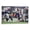 Frame-style, variant on Derrick Henry Canvas Poster Posters Wall Art Painting Canvas Gift Living Room Prints Bedroom Decor Poster Artworks 24x36inch(60x90cm)