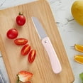 thumbnail image 5 of Vacemry Under $5 Stainless Steel Fruit Knife, Portable Folding Peeling Knife, Mini Outdoor Camping Knife, Compact Fruit Cutting Knife, Household Kitchen Utility Knife, 5 of 6