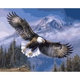 thumbnail image 1 of Eagle Paint by Numbers, 1 of 7