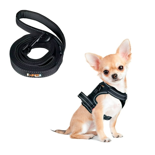 Pechera Arnes E-Pets + Correa Color Negro para Perro Extra Chico Ajustable Antitirones Resistente para Paseo Entrenamiento