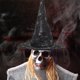 thumbnail image 5 of Fiudx Liquidación de ofertas flash Sombrero de mago de Halloween Sombrero de mago Sombrero de bruja Sombrero de festival de fantasmas Tocados Sombrero negro Tocados de baile, 5 of 6
