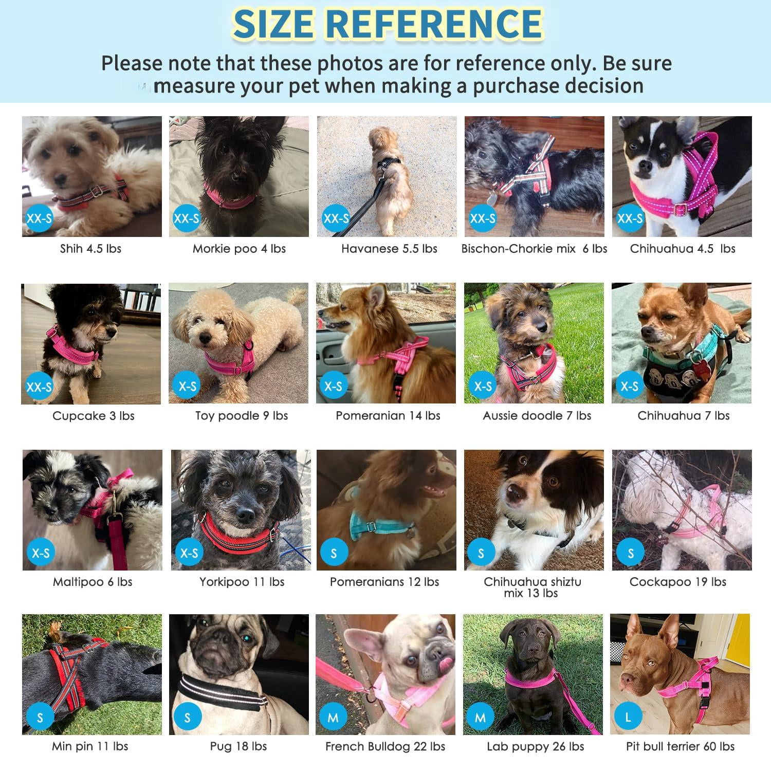 No Pull Small Dog Harness And Leash Set  Puppy Soft Vest Neck & Chest Adjustable Reflective Lightweight Anti-twist Pet Lead Combo For Medium Dogs (fuchsia Xxs)