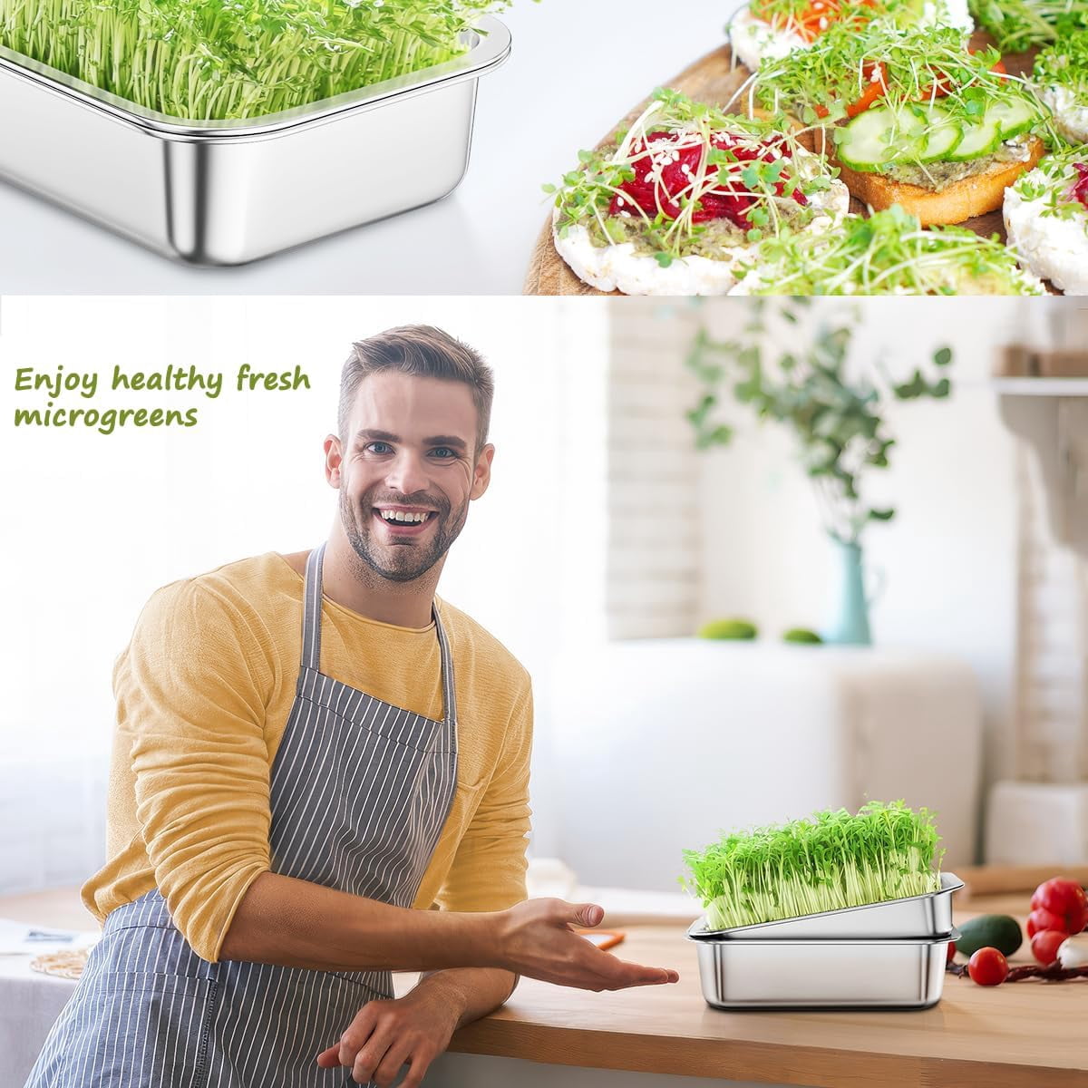 FANHAO 2-Pack Stainless Steel Plant Germination Trays, Indoors Plant Seedlings, Drainage Holes