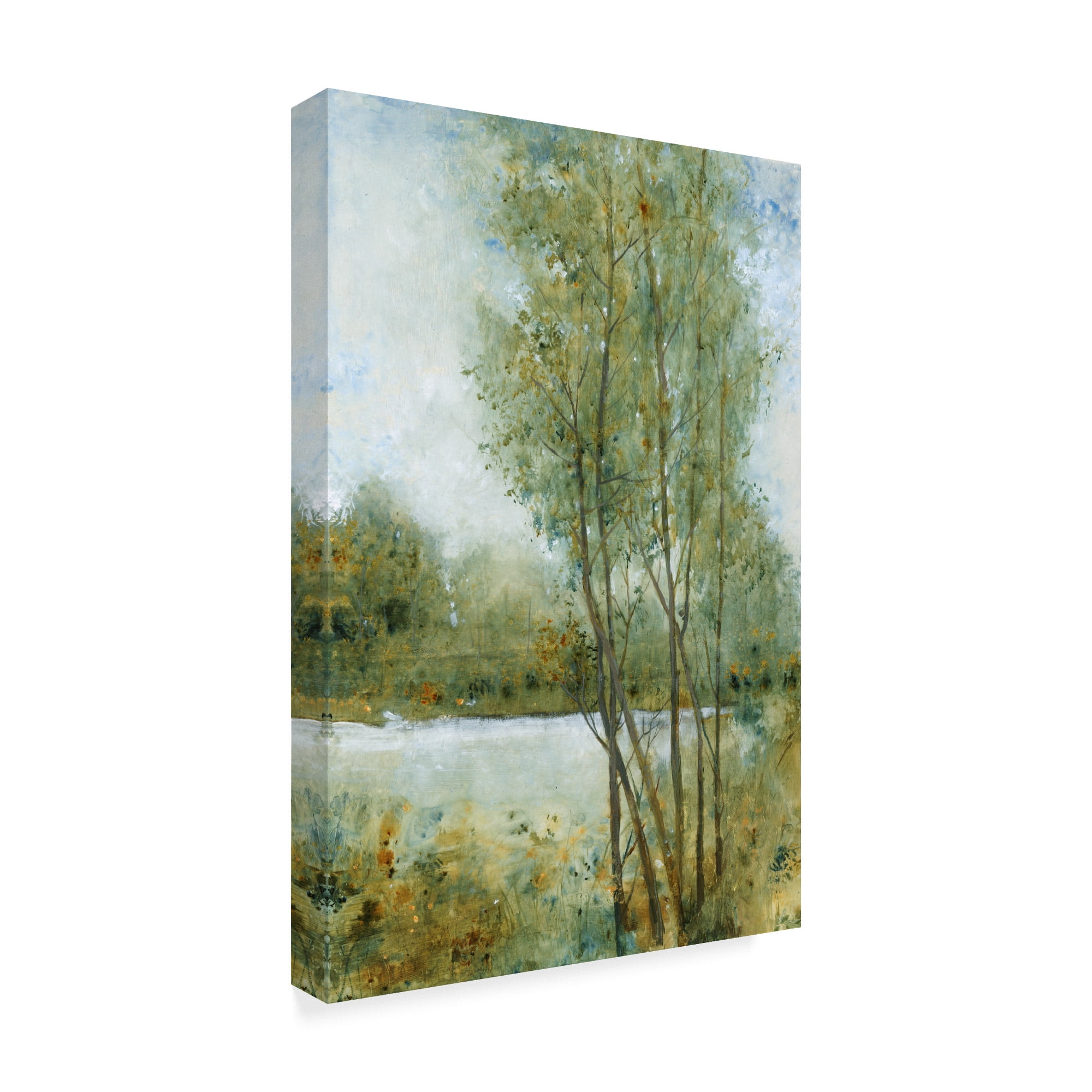 Trademark Fine Art 'Early Spring I' Canvas Art by Tim OToole