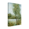 thumbnail image 2 of Trademark Fine Art 'Early Spring I' Canvas Art by Tim OToole, 2 of 4