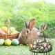 thumbnail image 3 of Huevos y conejitos de Pascua de colores insertados en el suelo. Tapón de tierra acrílico., 3 of 5