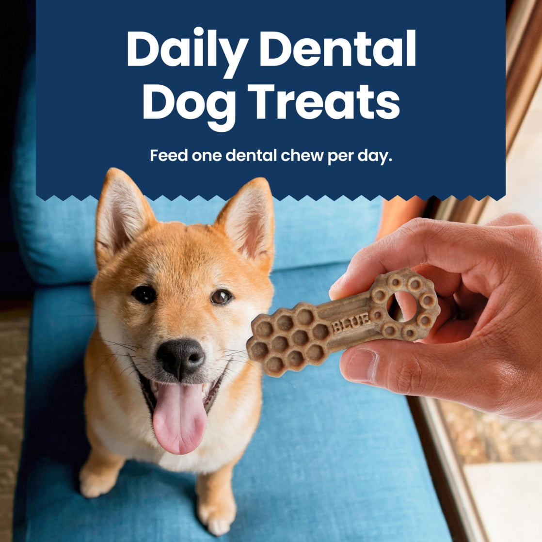Blue Buffalo Small Dental Chews, Daily Dental Care Dog Treats, Chicken & Spearmint (84 Count)