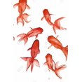 thumbnail image 3 of Poissons Rouges - Toile 24"x36 Pouces - Impression sur Demande, 3 of 5
