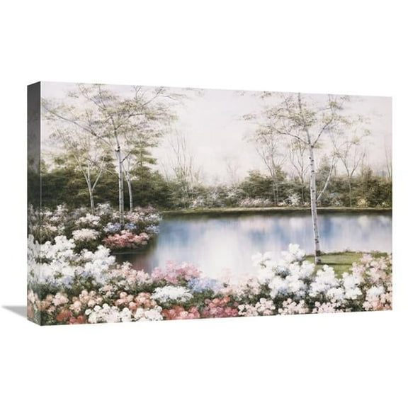 Global Gallery GCS-393933-1624-142 16 x 24 in. White Birches Art Print - Diane Romanello