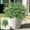 White, variant on Outdoor Fall Artificial Plants with Ground Stake, UV Resistant Fake Orange Foliage for Garden Patio Decor