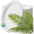 thumbnail image 5 of Heavy Duty Paper Plates, 10 Inch, White, 300 Count, Hot and Cold Food Safe, 5 of 5
