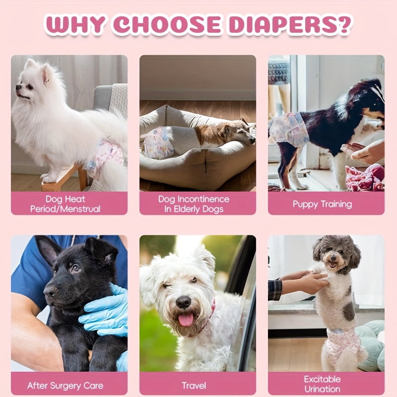 40 - piece leak - proof female dog diapers. Featuring imported polymer absorbent core, they absorb instantly and dry quickly. Stretchy, elastic, soft & leak - proof