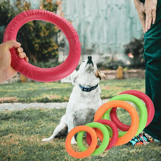 Foam dog frisbee hot sale