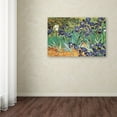 thumbnail image 3 of Trademark Fine Art 'Iris Garden' Canvas Art by Vincent van Gogh, 3 of 3