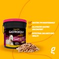 thumbnail image 3 of Organnact GASTRO EQUI PELLETS To support the gastric health of horses 2.2lb, 3 of 7