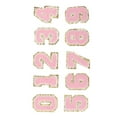 thumbnail image 3 of Patches pour Sac à Dos, Patches Numérotés Roses Repassage Facile 0 à 9 Numéro 10 Pcs pour Chemise, 3 of 7
