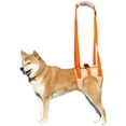 thumbnail image 2 of Arnés de elevación para perros, soporte trasero para mascotas, cabestrillo aprobado por veterinarios para personas mayores con poca estabilidad, 2 of 5