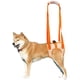 thumbnail image 4 of Arnés de elevación para perros, soporte trasero para mascotas, cabestrillo aprobado por veterinarios para personas mayores con poca estabilidad, pierna trasera, cadera, discapacitados, lesiones e, 4 of 5