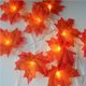 thumbnail image 5 of Tira De Luces Led De Hojas De Arce Para Halloween, Lámpara De Linterna Luminosa, Diseño De Barra De Fiesta En El Jardín, Tira Decorativa Methold HA024439-00, 5 of 6