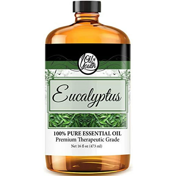 16oz Bulk Eucalyptus Essential Oil by Oil of Youth – Therapeutic Grade – Eucalyptus Oil