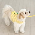thumbnail image 5 of Peekaboo (Harness & Leash) Yellow, 5 of 5