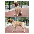thumbnail image 5 of Écharpe d'Hiver pour Animaux de Compagnie Chaude - Réversible Thermique Chien Col Chaud Chien Col Roulé Écharpe, 5 of 5