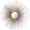 Gold, variant on SAFAVIEH Shanira Round Metallic Sunburst Mirror, Silver