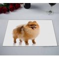 thumbnail image 2 of PKQWTM spitz Pomeranian dog Kitchen Dining Table Mats Placemats Size 12x18 Inches, Set of 2 Pieces, 2 of 2